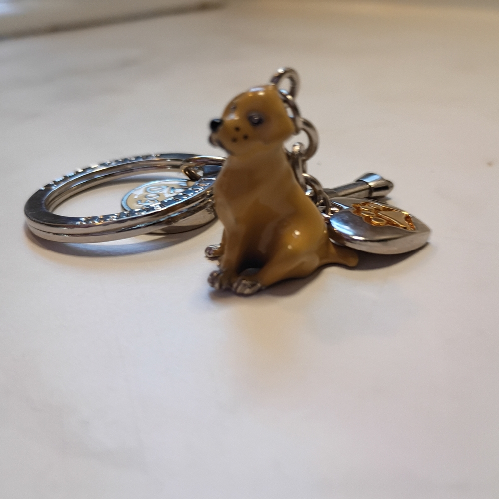 Golden Retriever Little Gifts Keychain